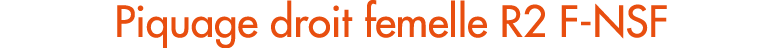 Piquage droit femelle R2 F NSF
